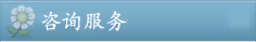 咨询服务